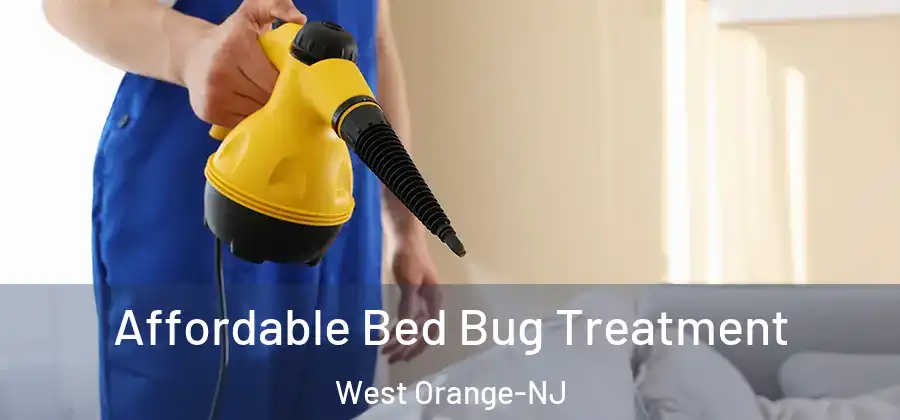 Affordable Bed Bug Treatment West Orange-NJ
