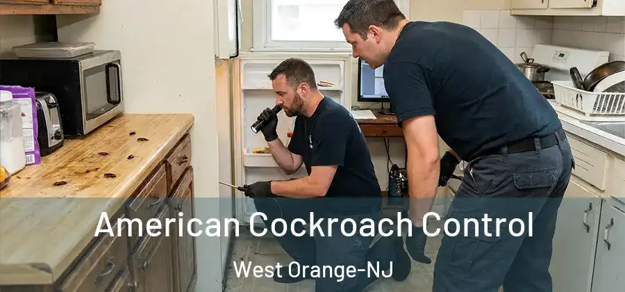 American Cockroach Control West Orange-NJ