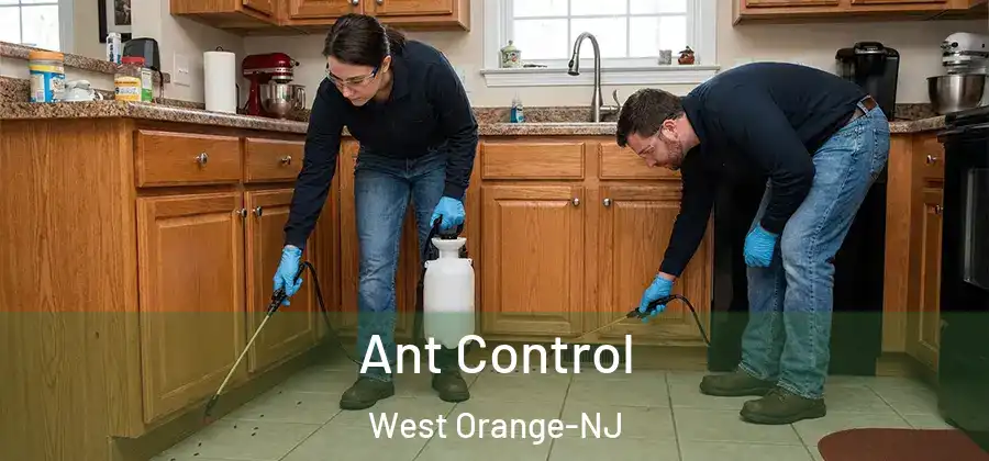 Ant Control West Orange-NJ