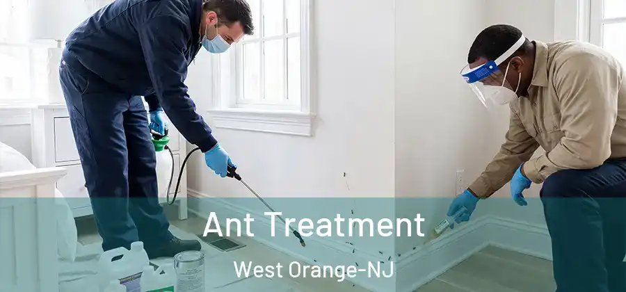 Ant Treatment West Orange-NJ