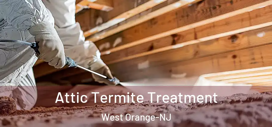  Attic Termite Treatment West Orange-NJ