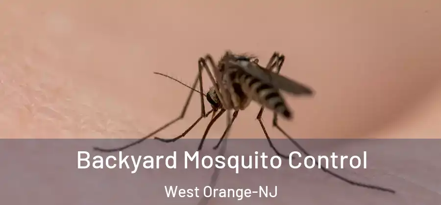  Backyard Mosquito Control West Orange-NJ
