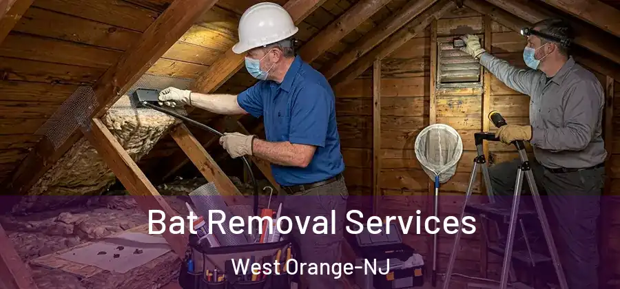Bat Removal Services West Orange-NJ