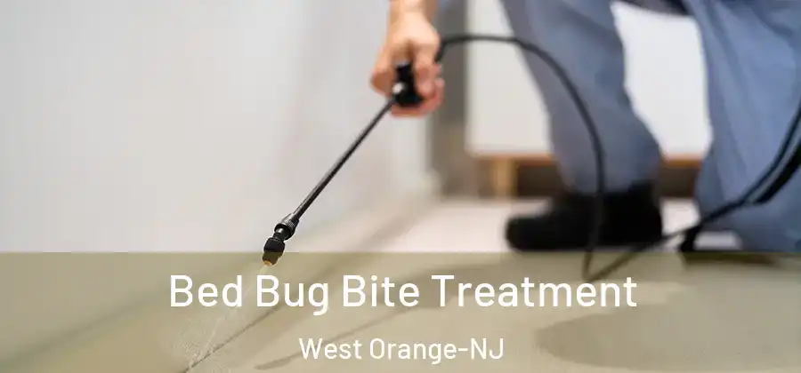 Bed Bug Bite Treatment West Orange-NJ