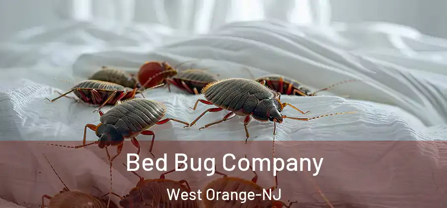 Bed Bug Company West Orange-NJ