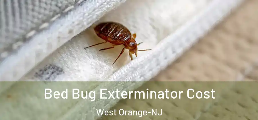  Bed Bug Exterminator Cost West Orange-NJ