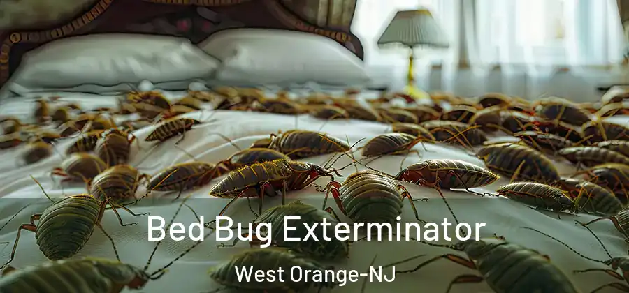 Bed Bug Exterminator West Orange-NJ