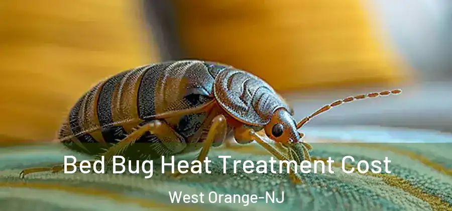  Bed Bug Heat Treatment Cost West Orange-NJ