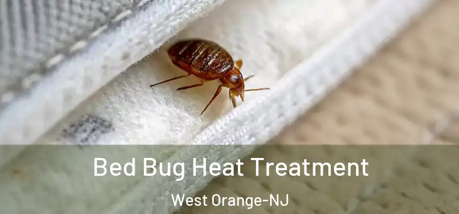 Bed Bug Heat Treatment West Orange-NJ
