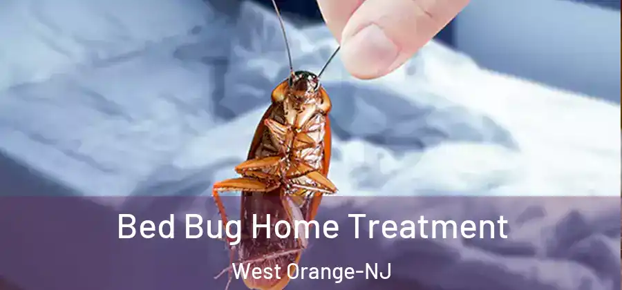Bed Bug Home Treatment West Orange-NJ
