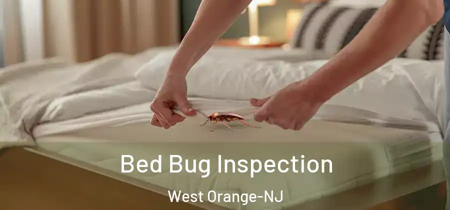 Bed Bug Inspection West Orange-NJ