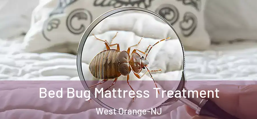 Bed Bug Mattress Treatment West Orange-NJ