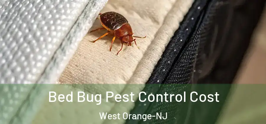 Bed Bug Pest Control Cost West Orange-NJ