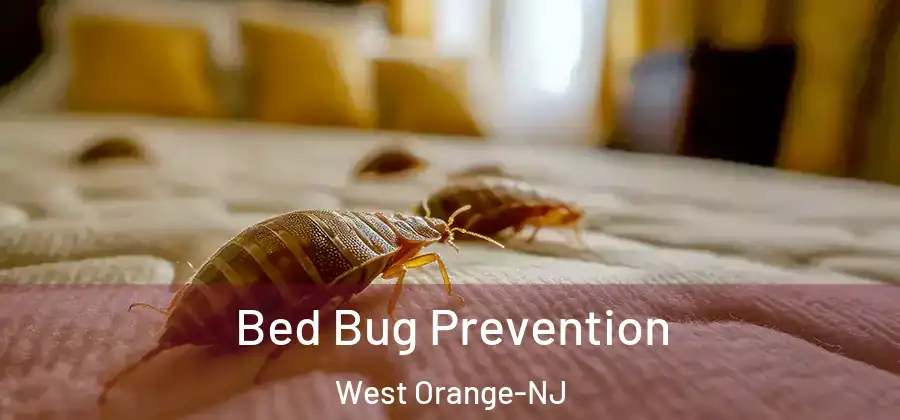 Bed Bug Prevention West Orange-NJ