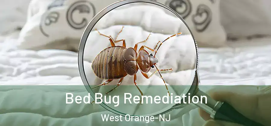Bed Bug Remediation West Orange-NJ