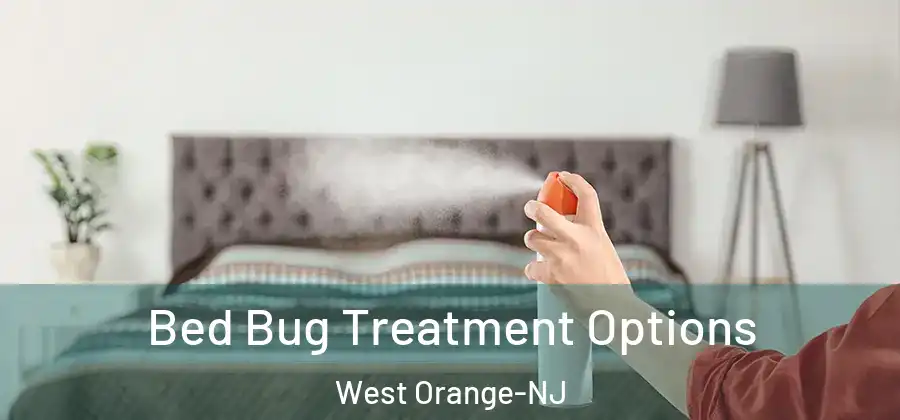 Bed Bug Treatment Options West Orange-NJ