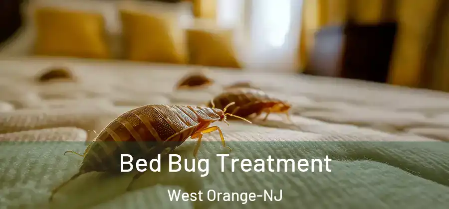  Bed Bug Treatment West Orange-NJ