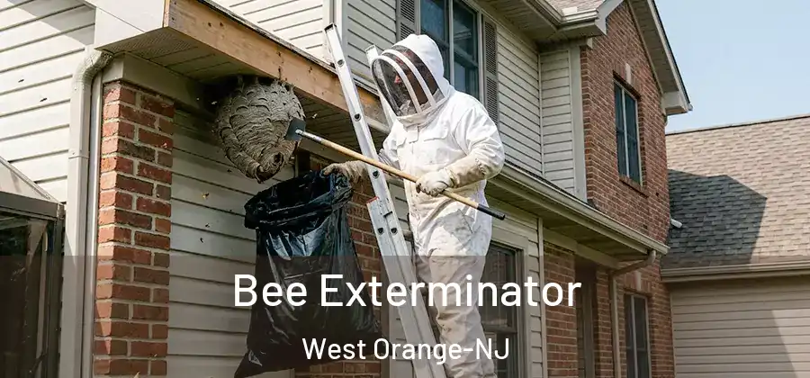 Bee Exterminator West Orange-NJ