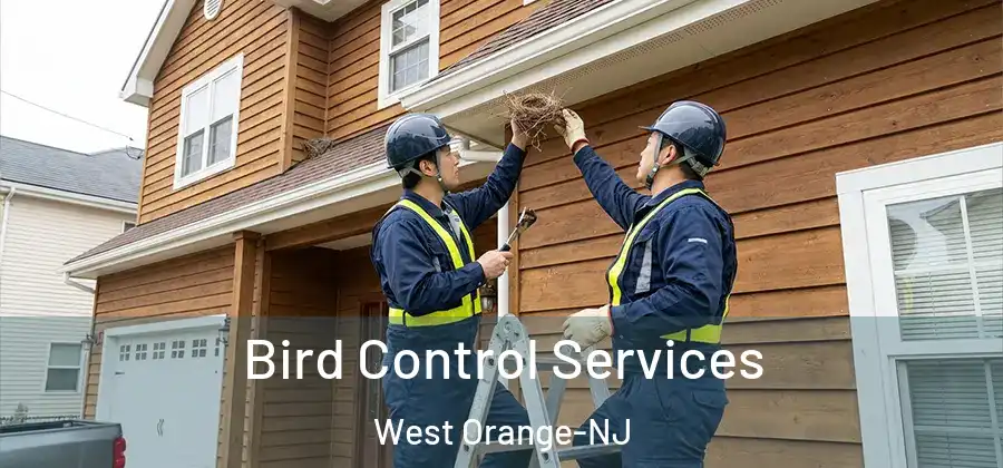 Bird Control Services West Orange-NJ
