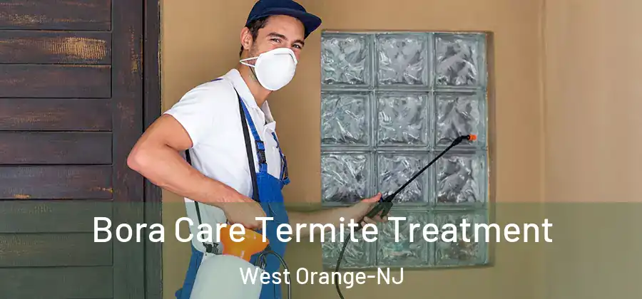 Bora Care Termite Treatment West Orange-NJ
