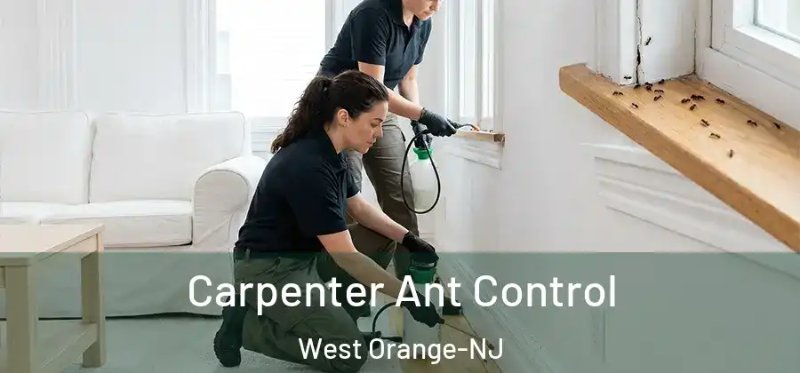 Carpenter Ant Control West Orange-NJ