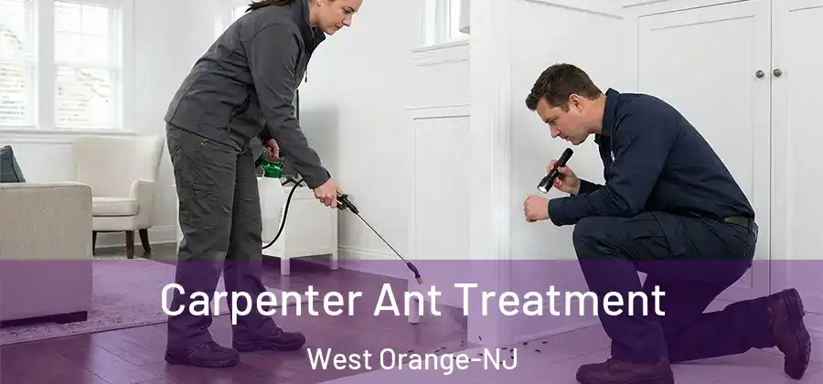 Carpenter Ant Treatment West Orange-NJ