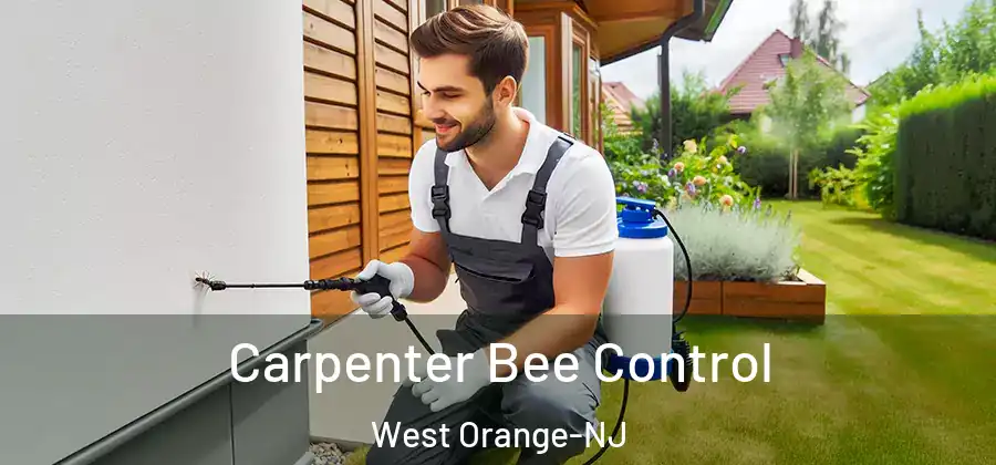 Carpenter Bee Control West Orange-NJ