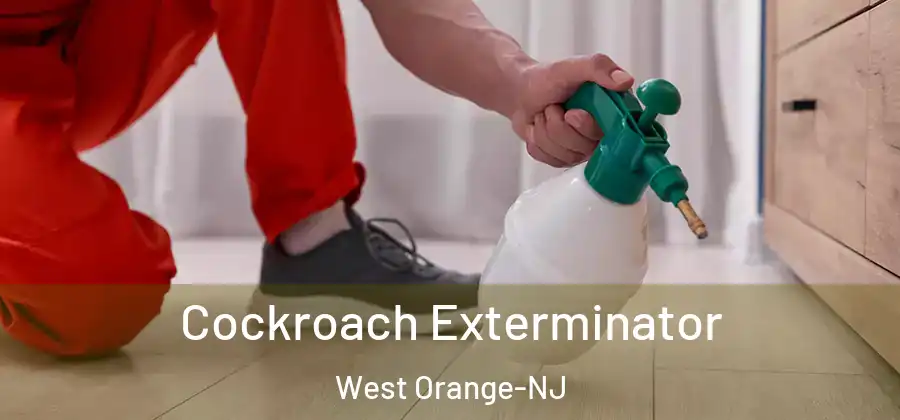 Cockroach Exterminator West Orange-NJ