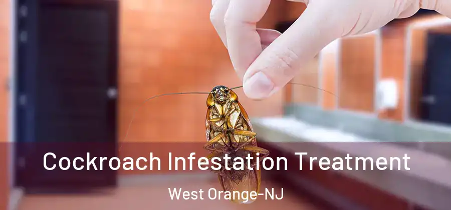  Cockroach Infestation Treatment West Orange-NJ