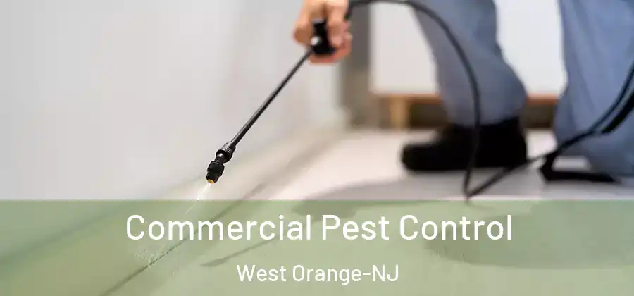 Commercial Pest Control West Orange-NJ