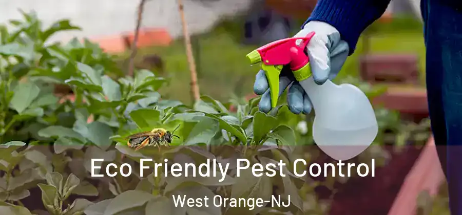 Eco Friendly Pest Control West Orange-NJ