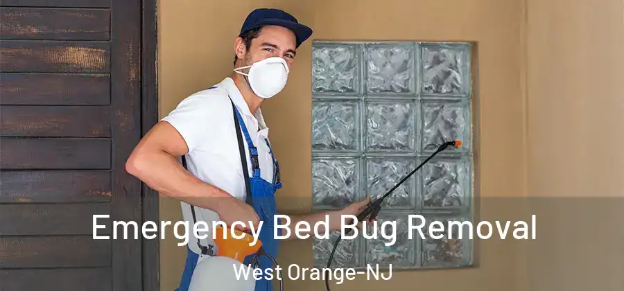 Emergency Bed Bug Removal West Orange-NJ