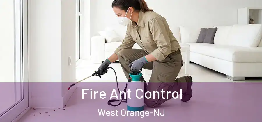 Fire Ant Control West Orange-NJ