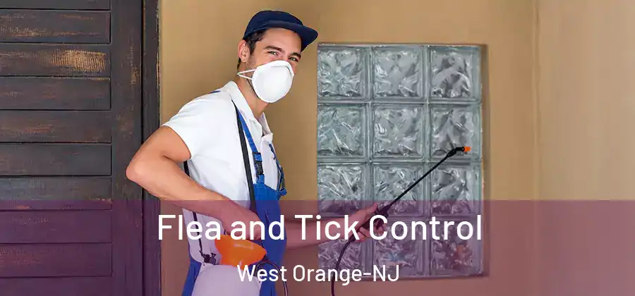 Flea and Tick Control West Orange-NJ