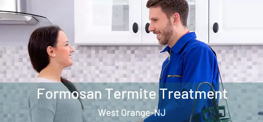 Formosan Termite Treatment West Orange-NJ
