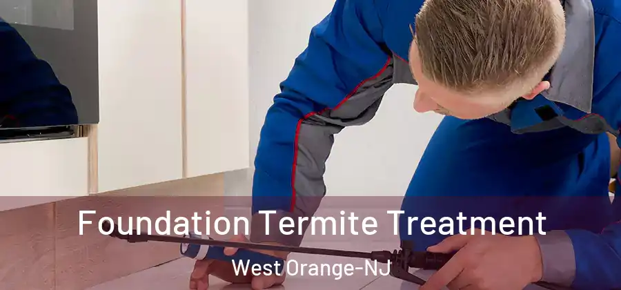 Foundation Termite Treatment West Orange-NJ