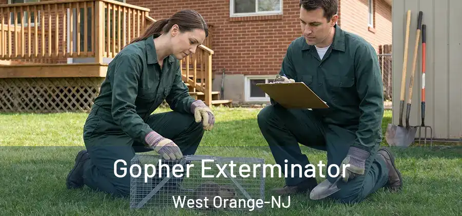 Gopher Exterminator West Orange-NJ