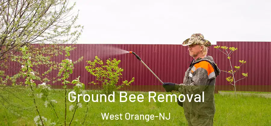  Ground Bee Removal West Orange-NJ