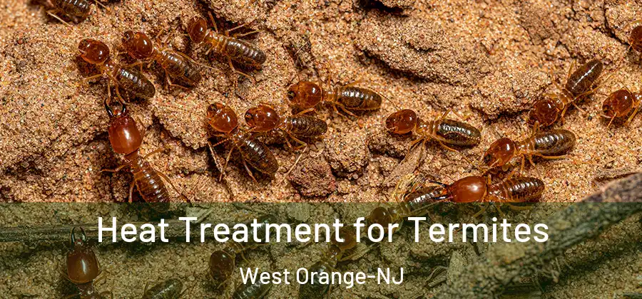 Heat Treatment for Termites West Orange-NJ