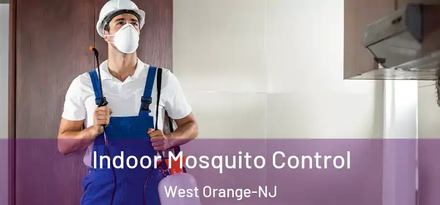 Indoor Mosquito Control West Orange-NJ
