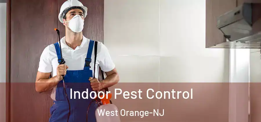 Indoor Pest Control West Orange-NJ