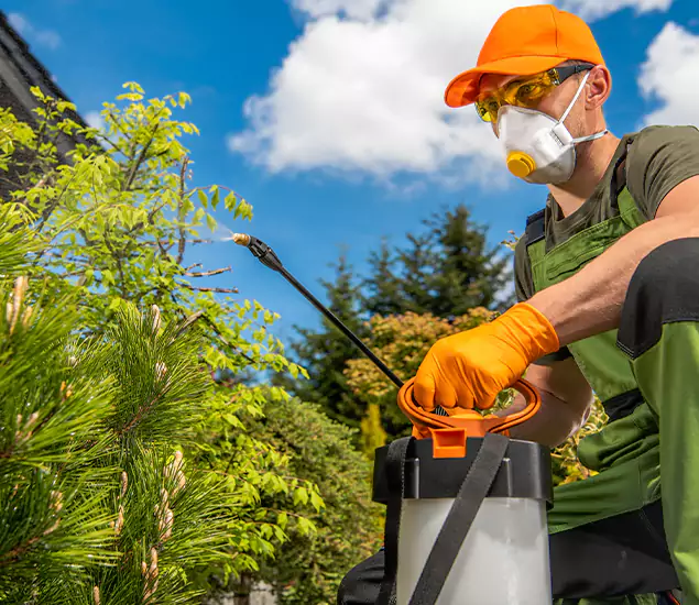 Your Mosquito Repellent Barrier Service in West Orange, NJ