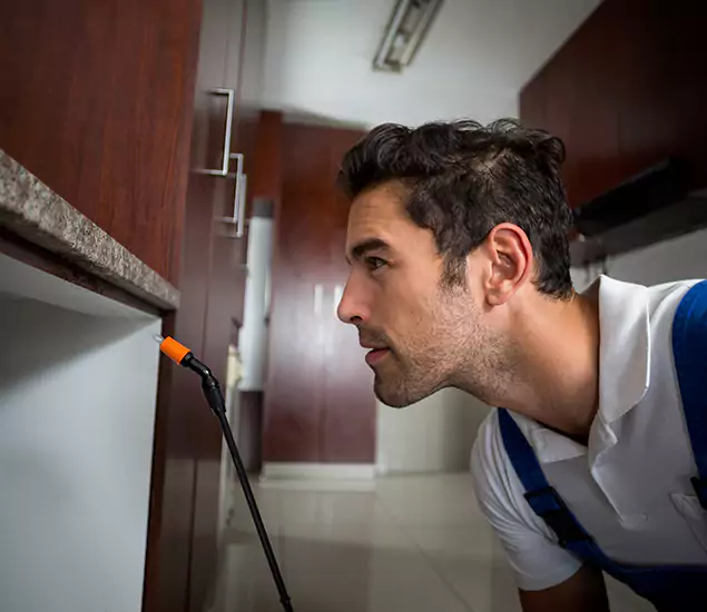 Termite Inspection Cost Experts You Can Trust in West Orange, NJ