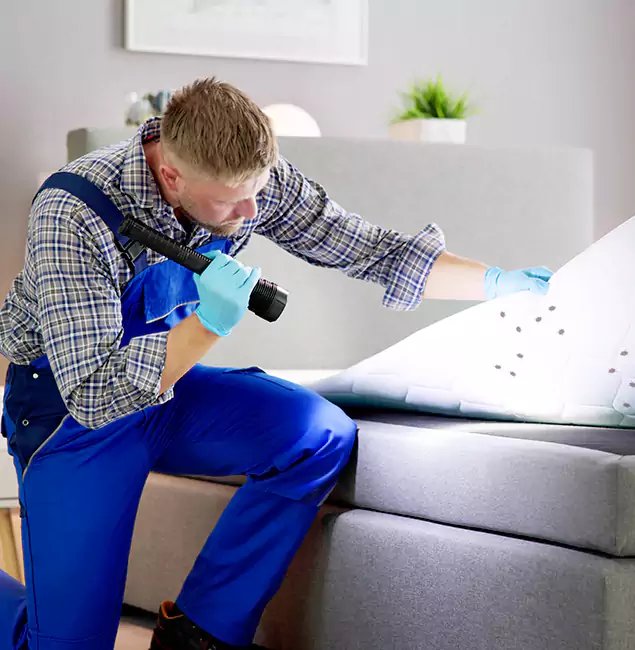 Why Choose West Orange Pest Control Pro For Bed Bug Heat Treatment in West Orange, NJ?
