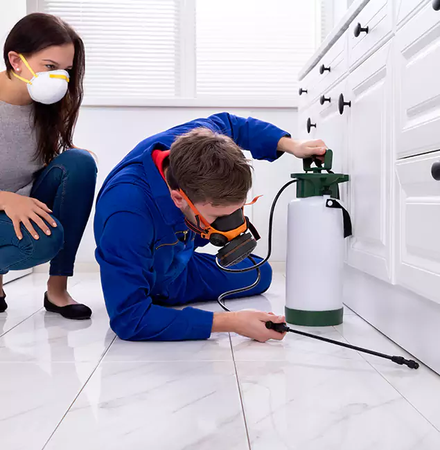 Why West Orange, NJ Homeowners Trust West Orange Pest Control Pro for Roach Control?