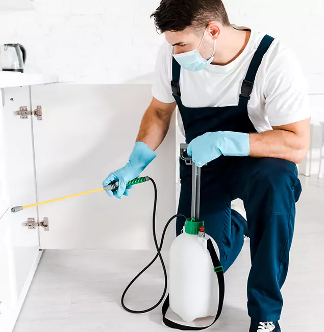 Why Choose West Orange Pest Control Pro for Indoor Pest Control in West Orange, NJ?
