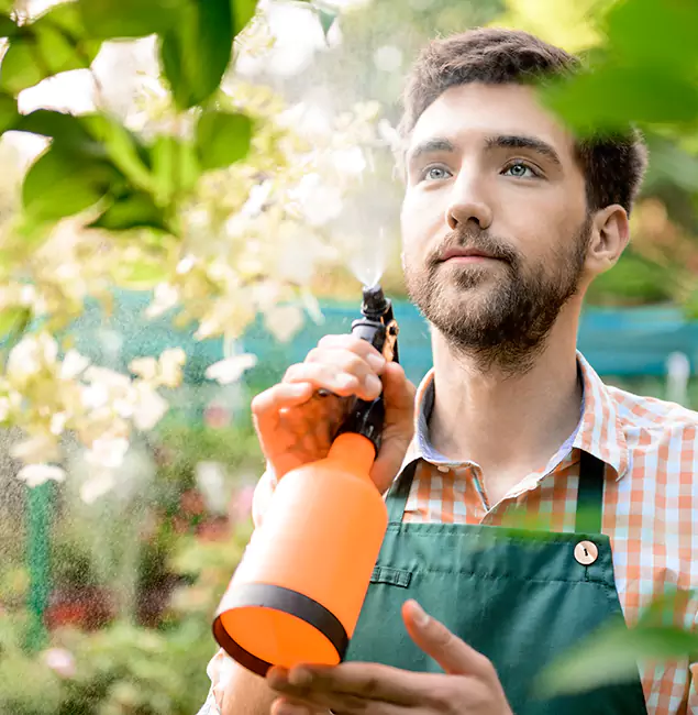 Why West Orange Homeowners Call West Orange Pest Control Pro for Mosquitoes in House?