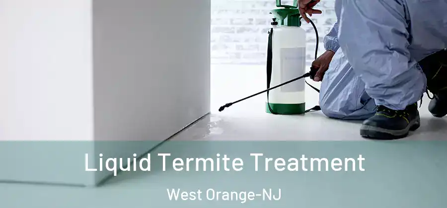 Liquid Termite Treatment West Orange-NJ