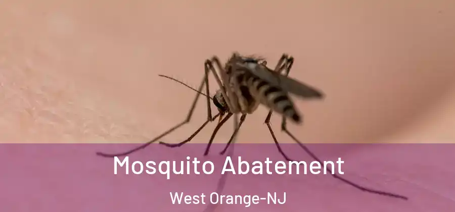 Mosquito Abatement West Orange-NJ