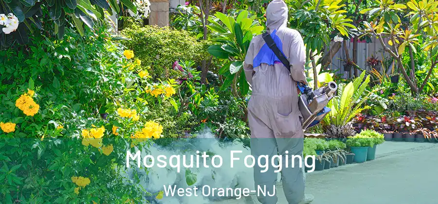  Mosquito Fogging West Orange-NJ